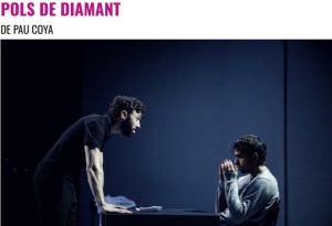 Pols de diamant